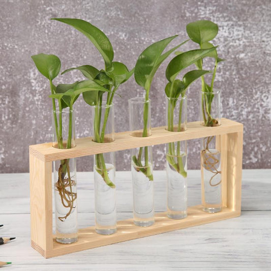 Botanical Propagation Table Planter Tubes and Frame