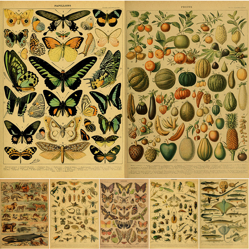 Principle Vintage Style Botany and Animal Art Posters