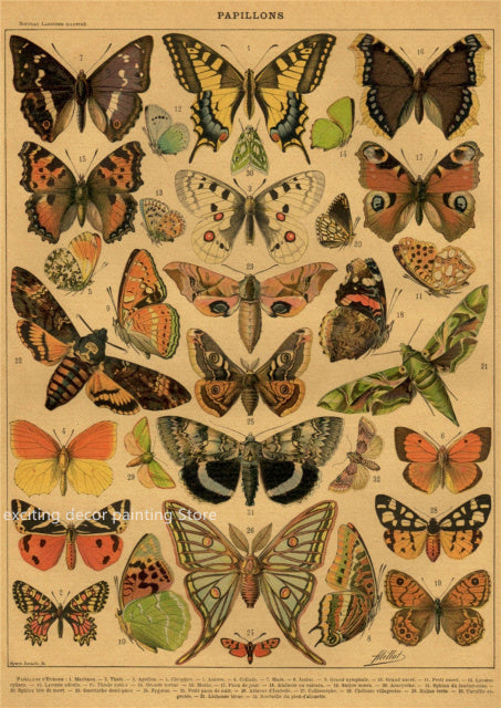 Principle Vintage Style Botany and Animal Art Posters