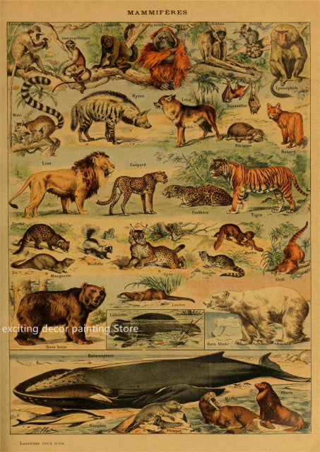 Principle Vintage Style Botany and Animal Art Posters