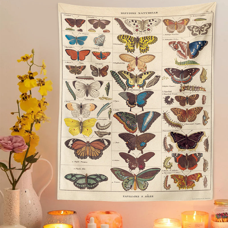 Butterfly Illustration Chart Tapestry Vintage Style