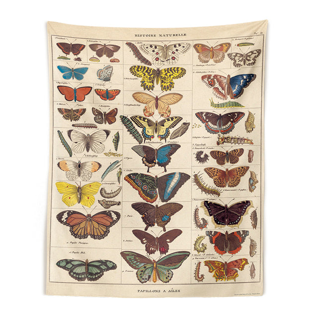 Butterfly Illustration Chart Tapestry Vintage Style